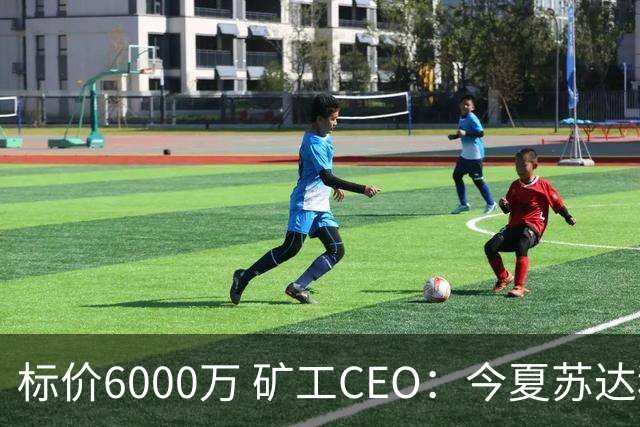 标价6000万 矿工CEO：今夏苏达科夫肯定去豪门